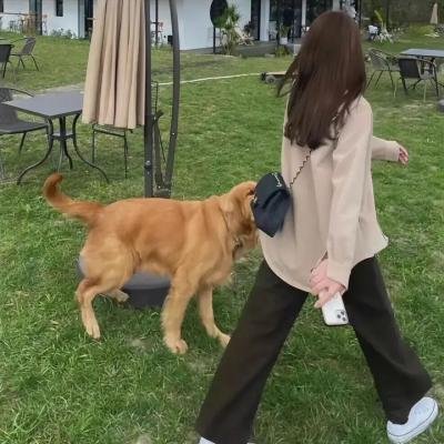 红色护卫